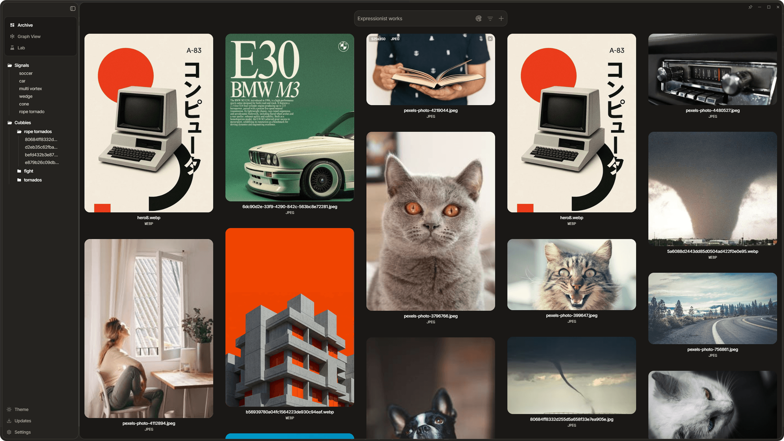 Dotient app interface showing the gallery with imported files, sidebar visible, and search bar