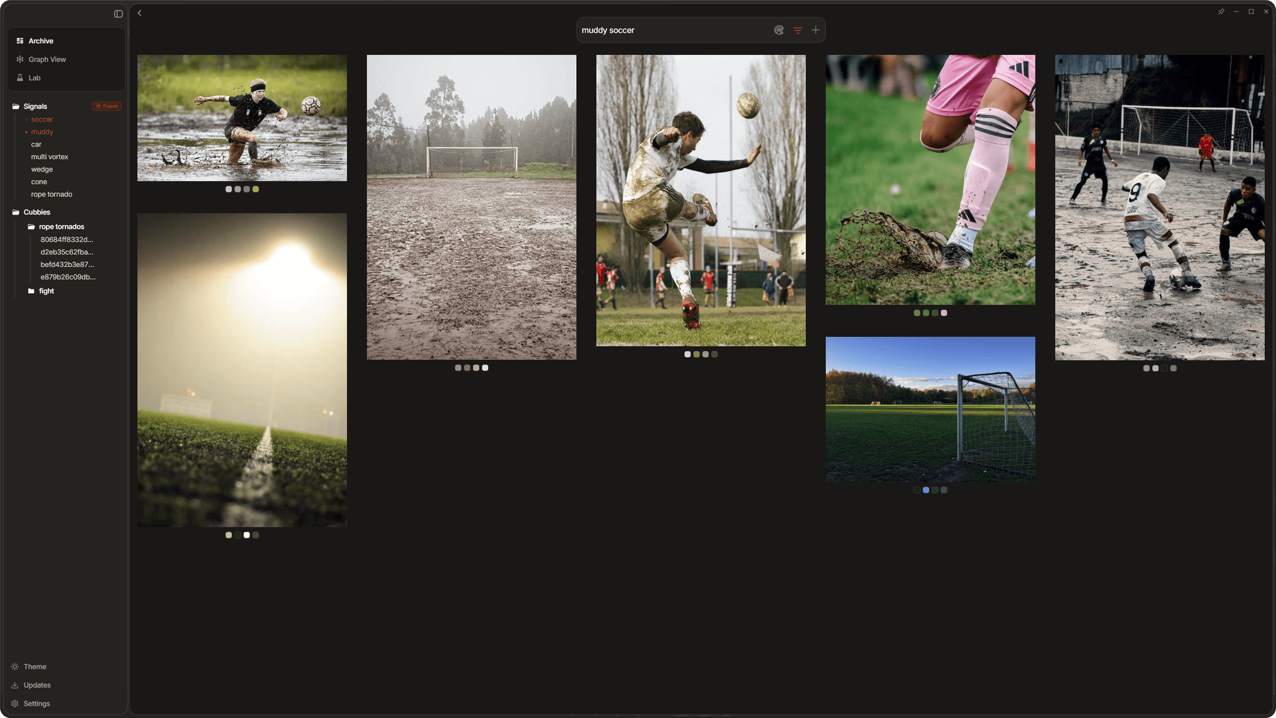 Sidebar showing pinned signals with active search indicator and combined gallery results