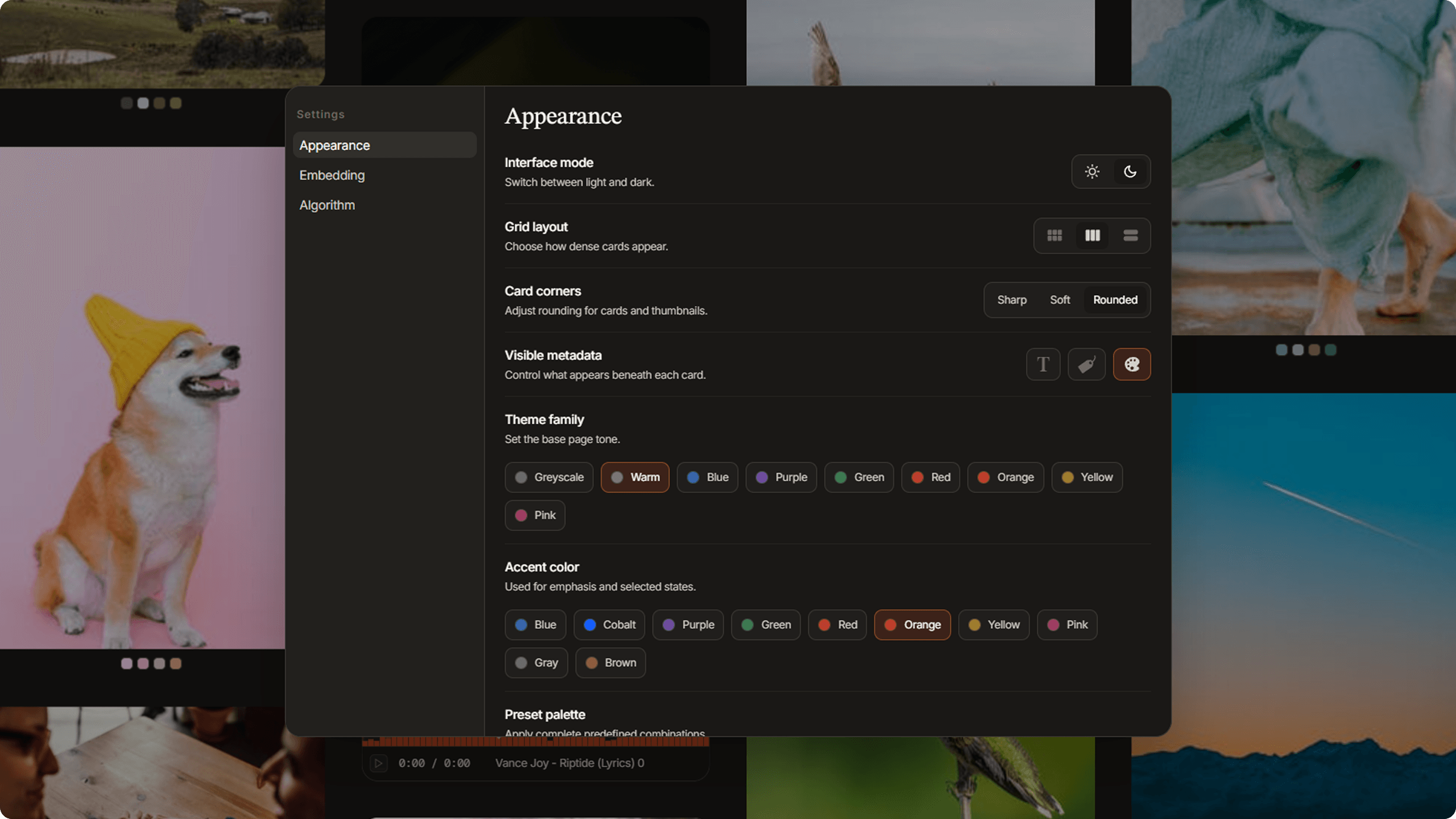 Settings modal on Appearance tab showing color theme options and preset cards