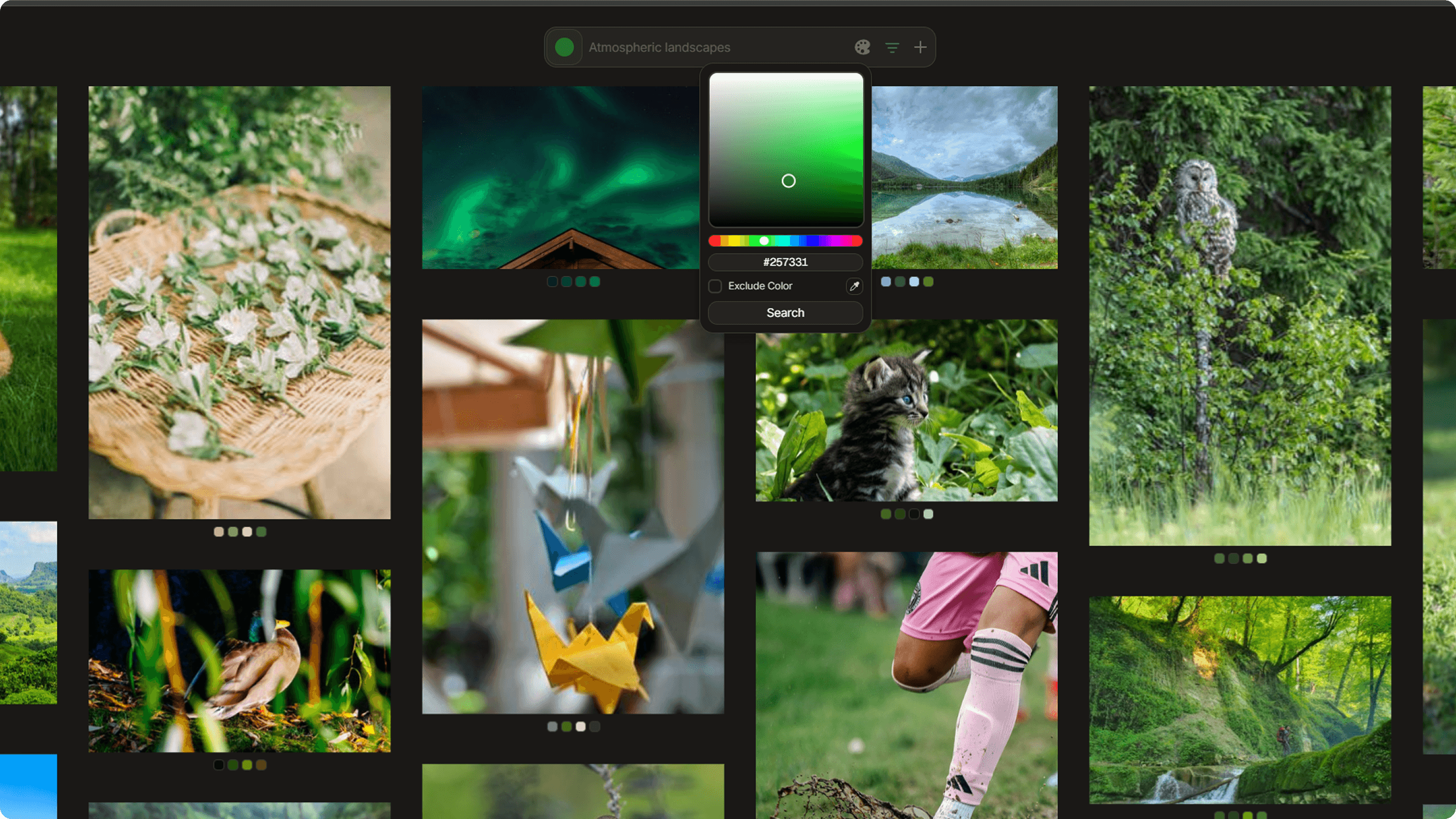 Color picker open with a color selected and gallery filtered to show matching results