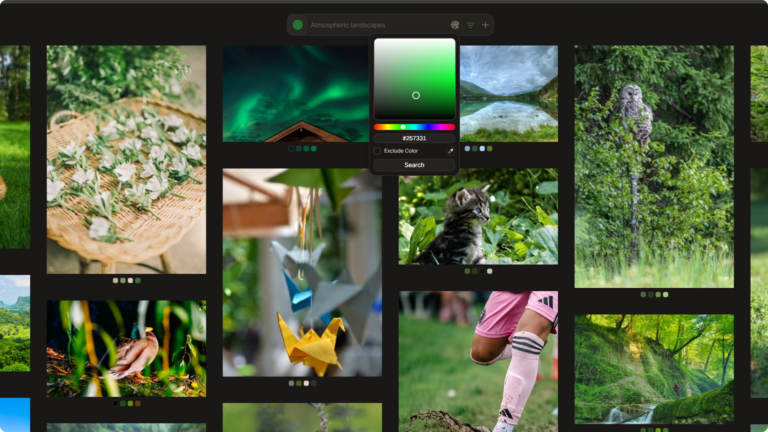 Color picker open with a color selected and gallery filtered to show matching results
